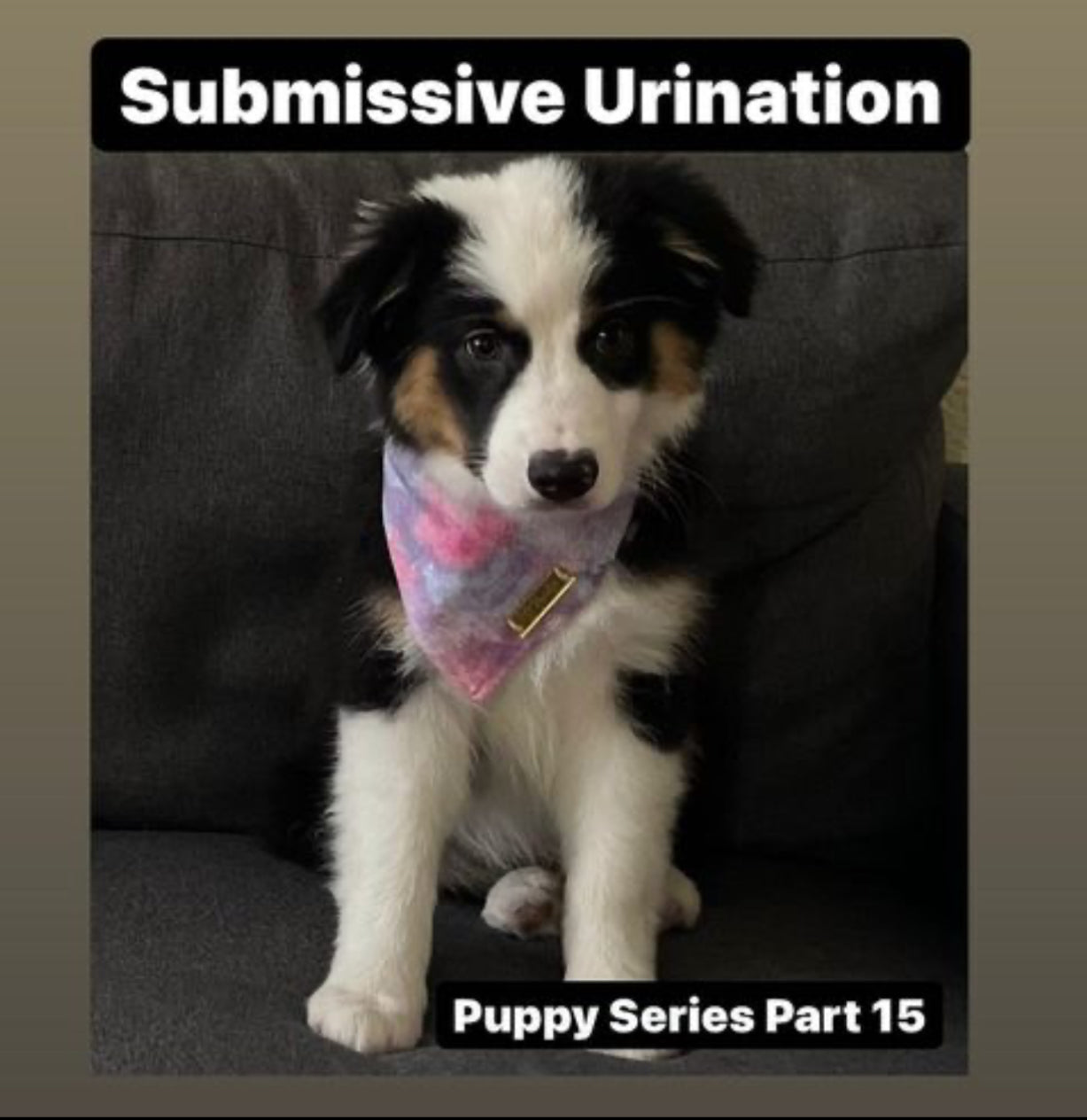 Submissive Urination