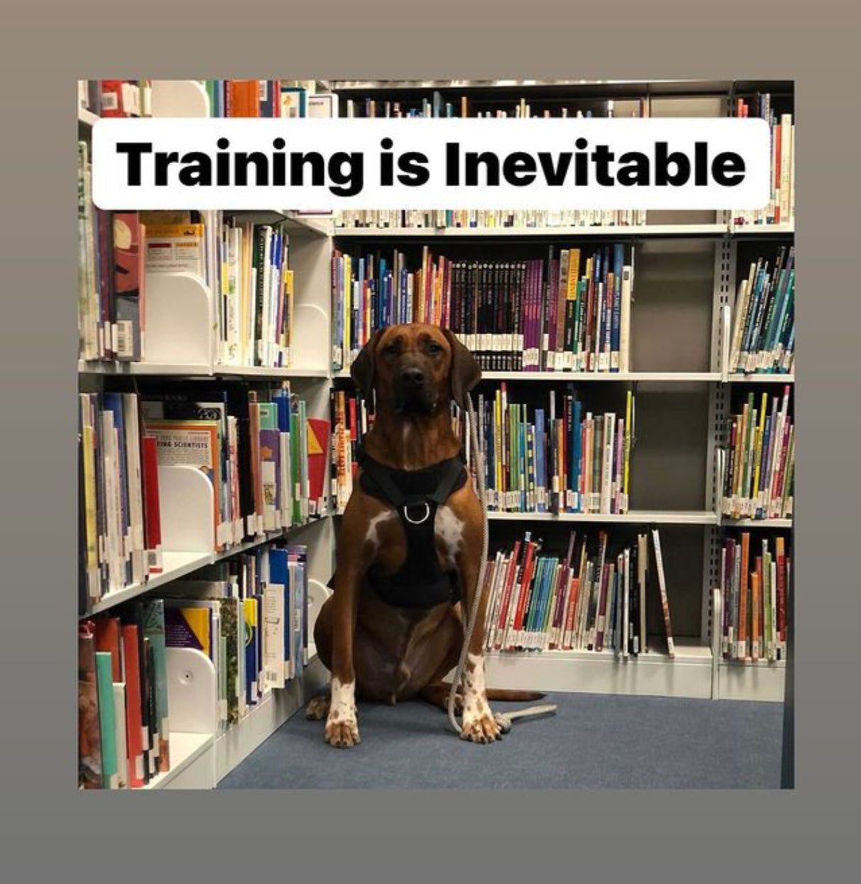 Training is inevitable