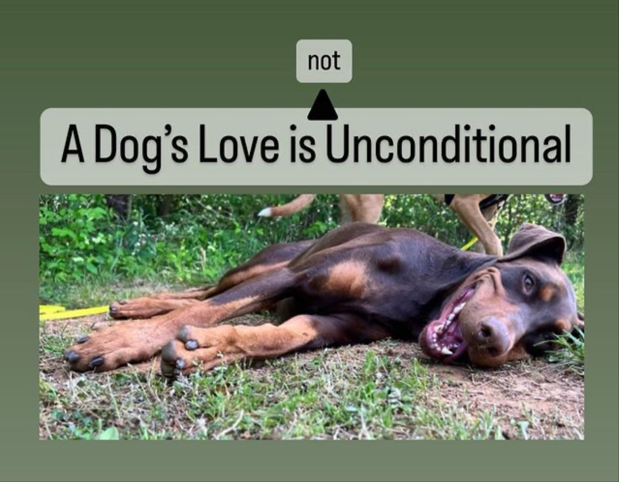 Unconditional love