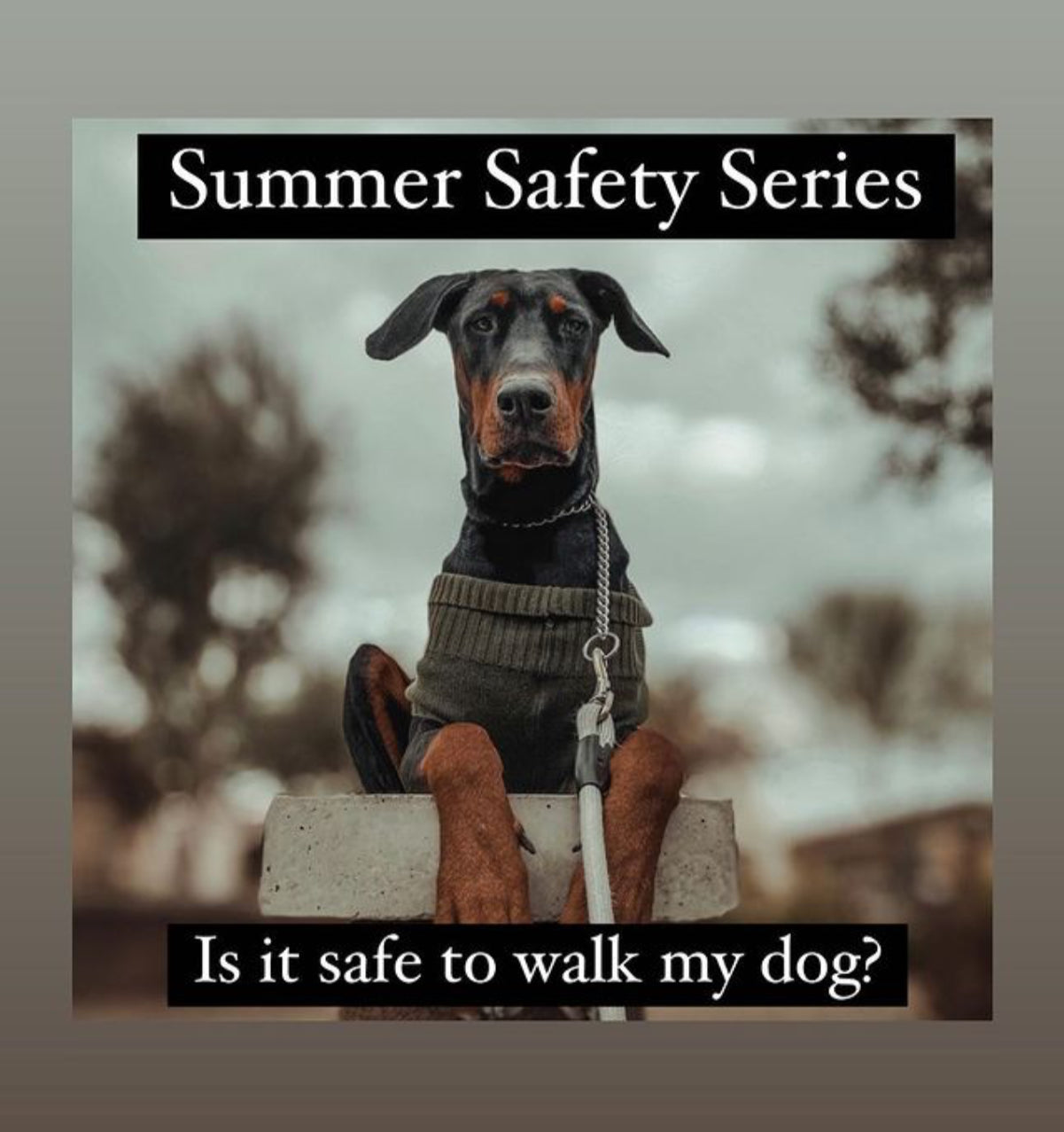 Summer Safety