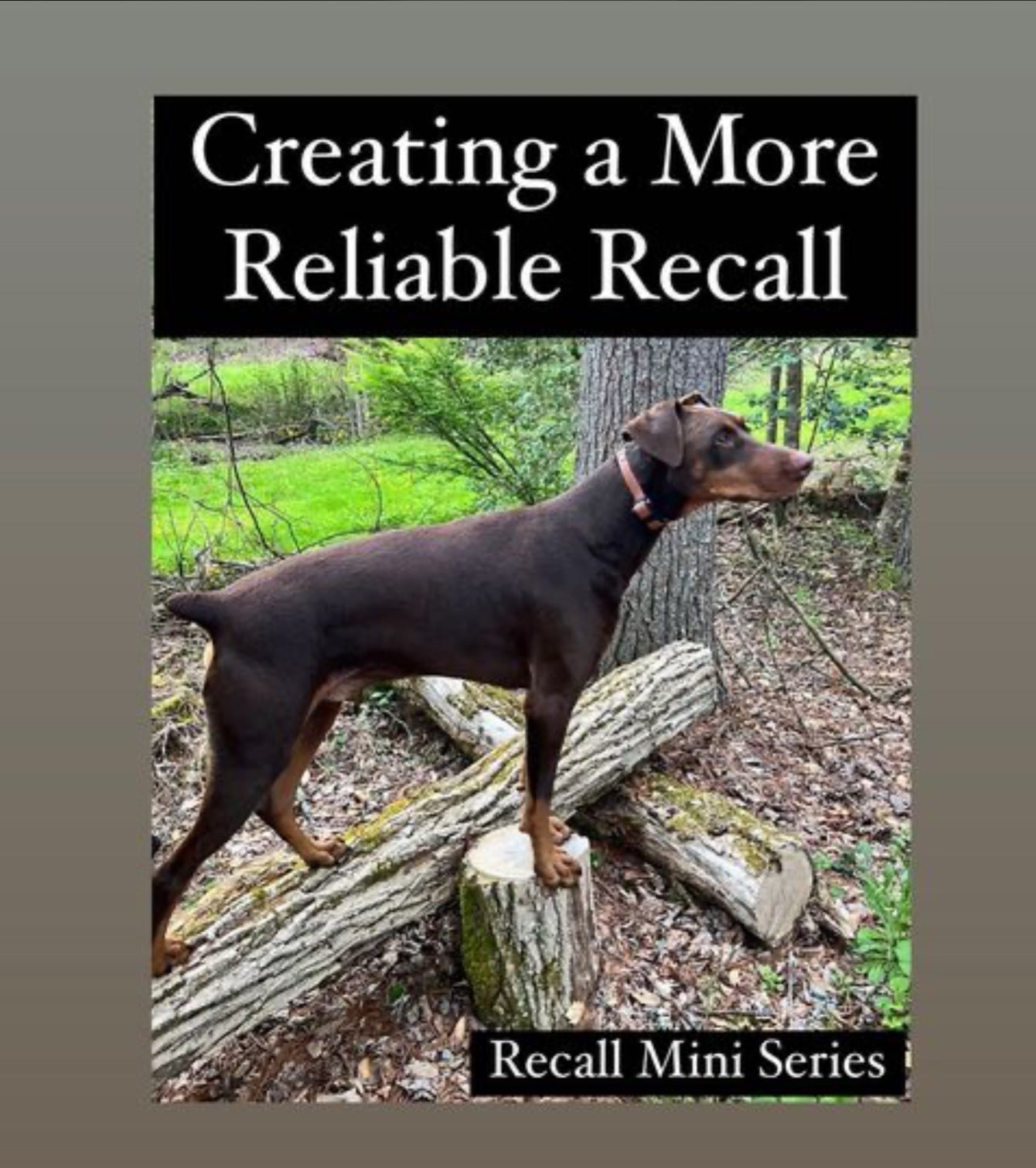 Recall #3 Creating a More Reliable Recall