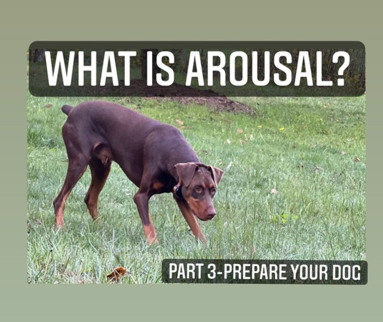 Arousal p3