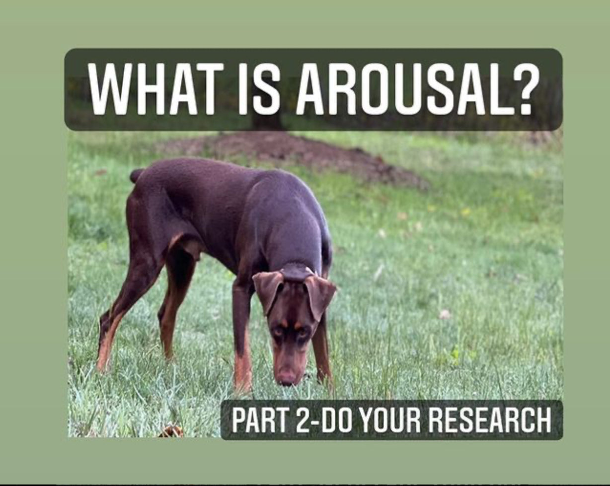 Arousal p2