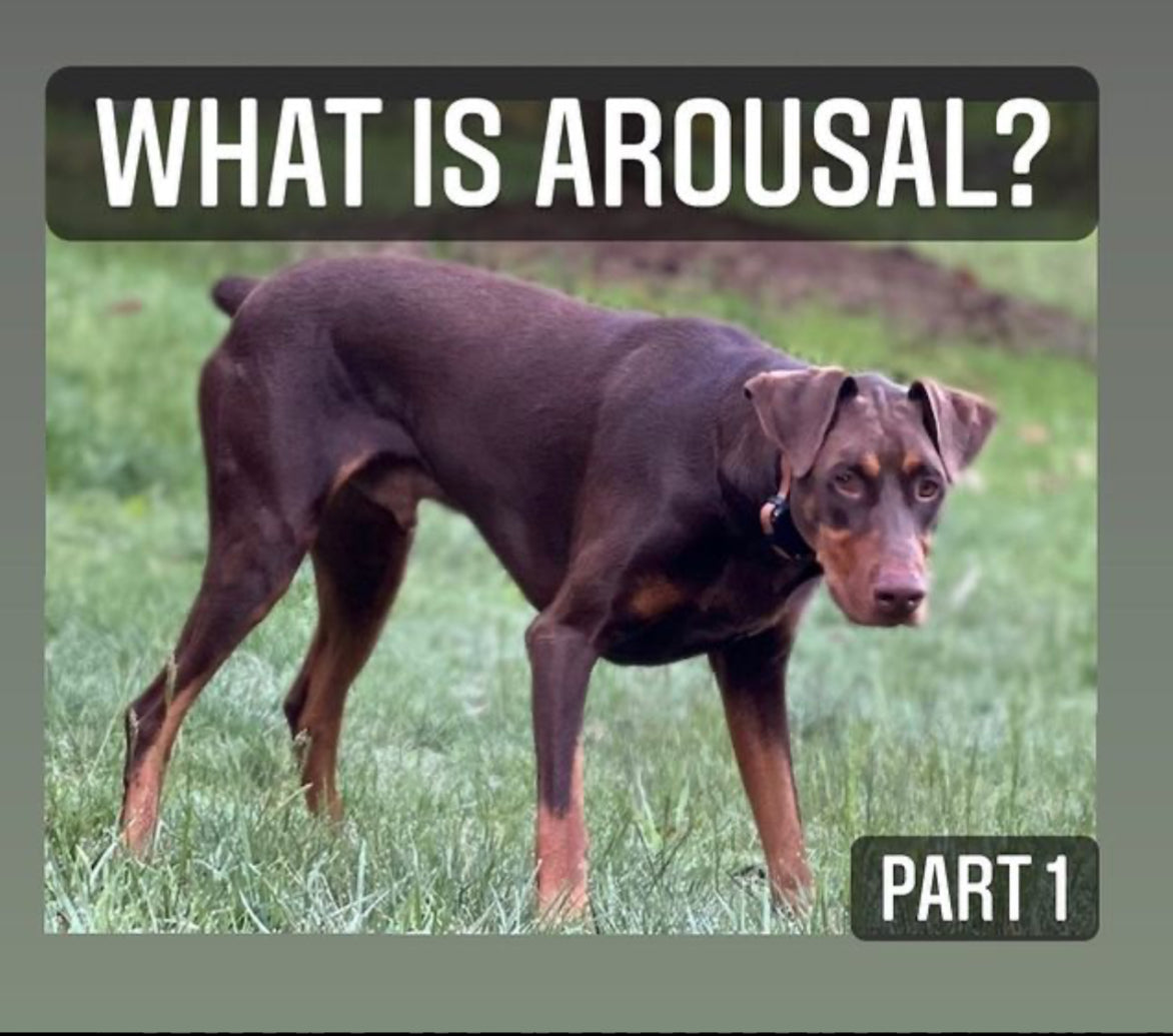 Arousal p1