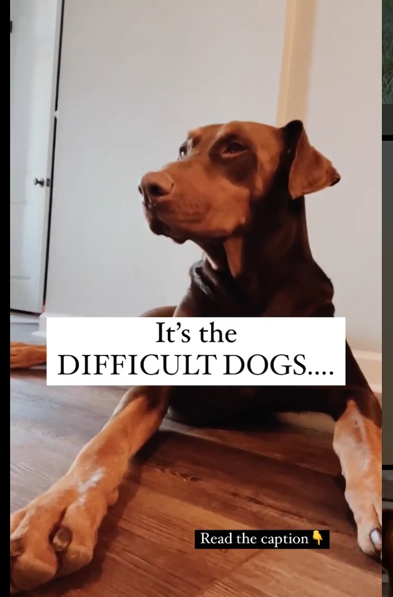 Difficult Dogs