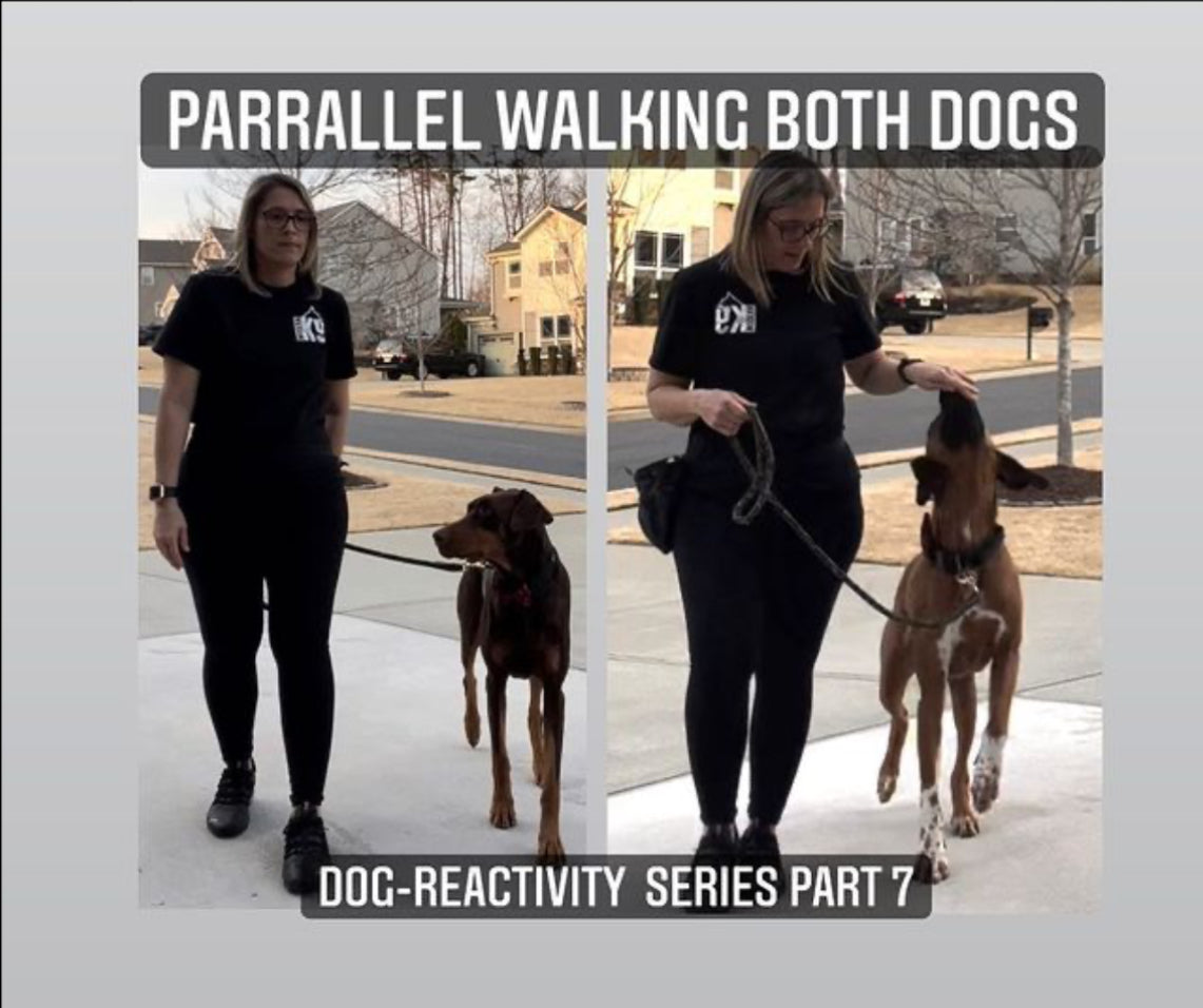 Parallel Walking