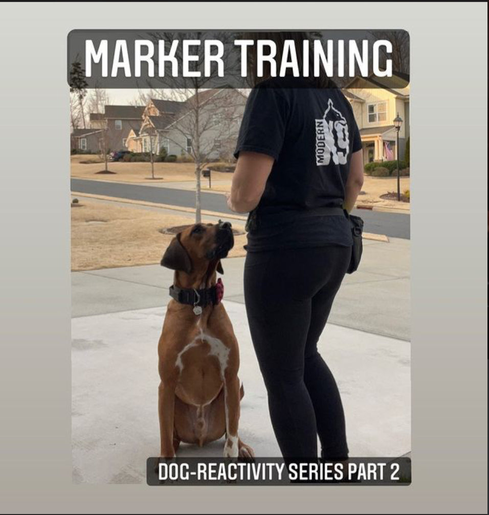 Marker Training