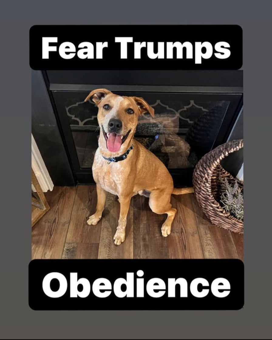 Fear Trumps Obedience