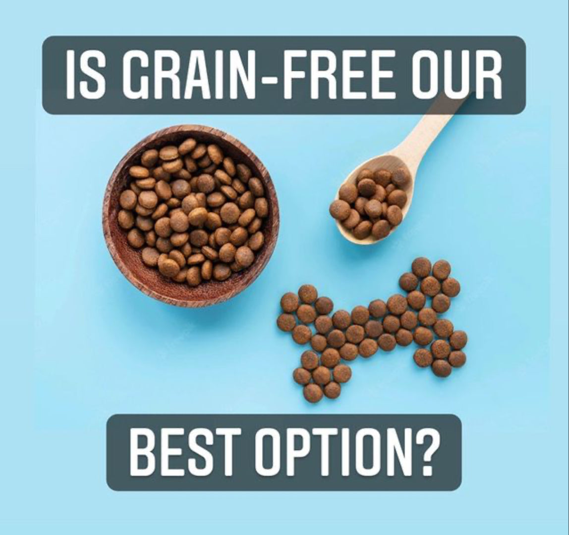 Grain Free