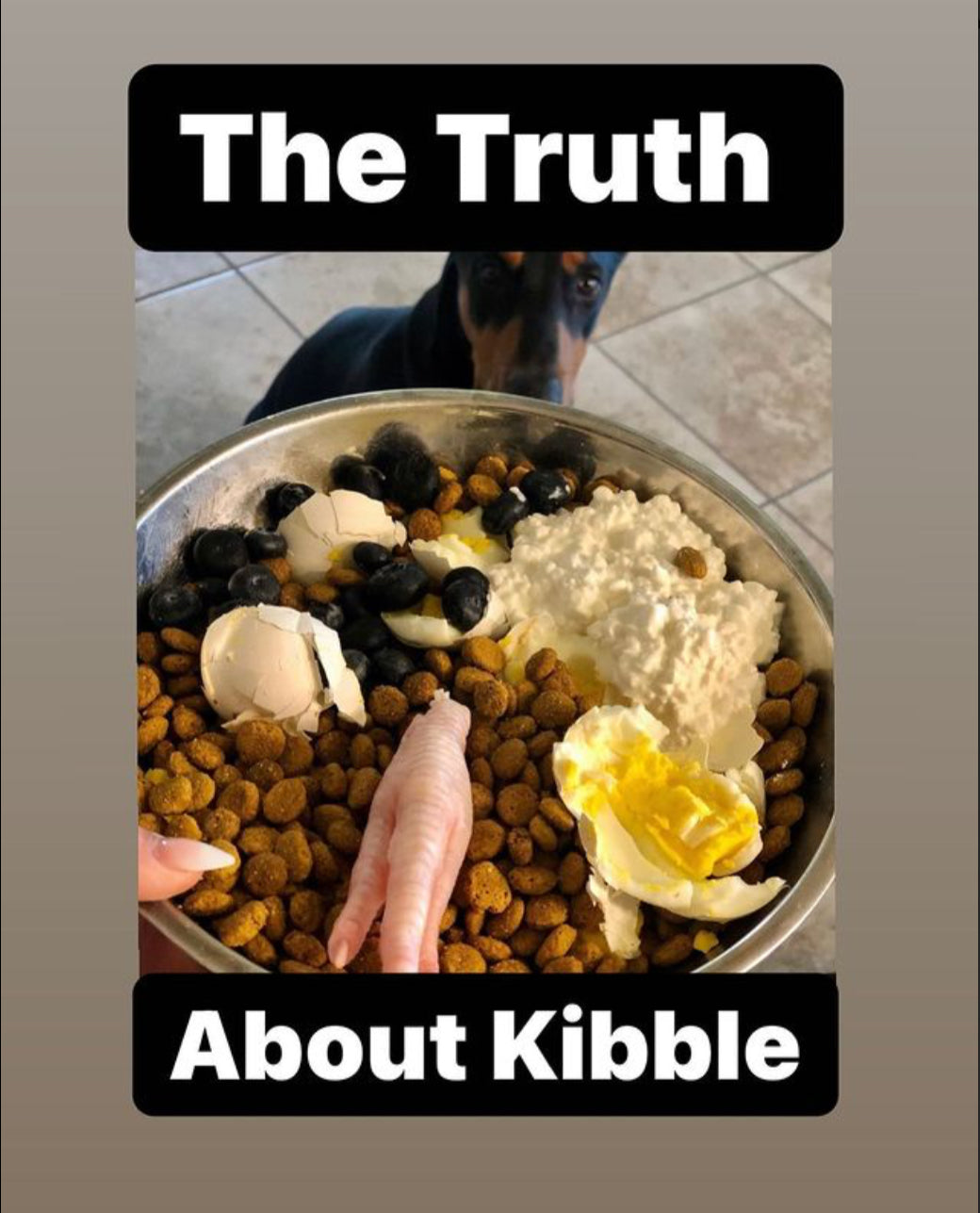 Kibble