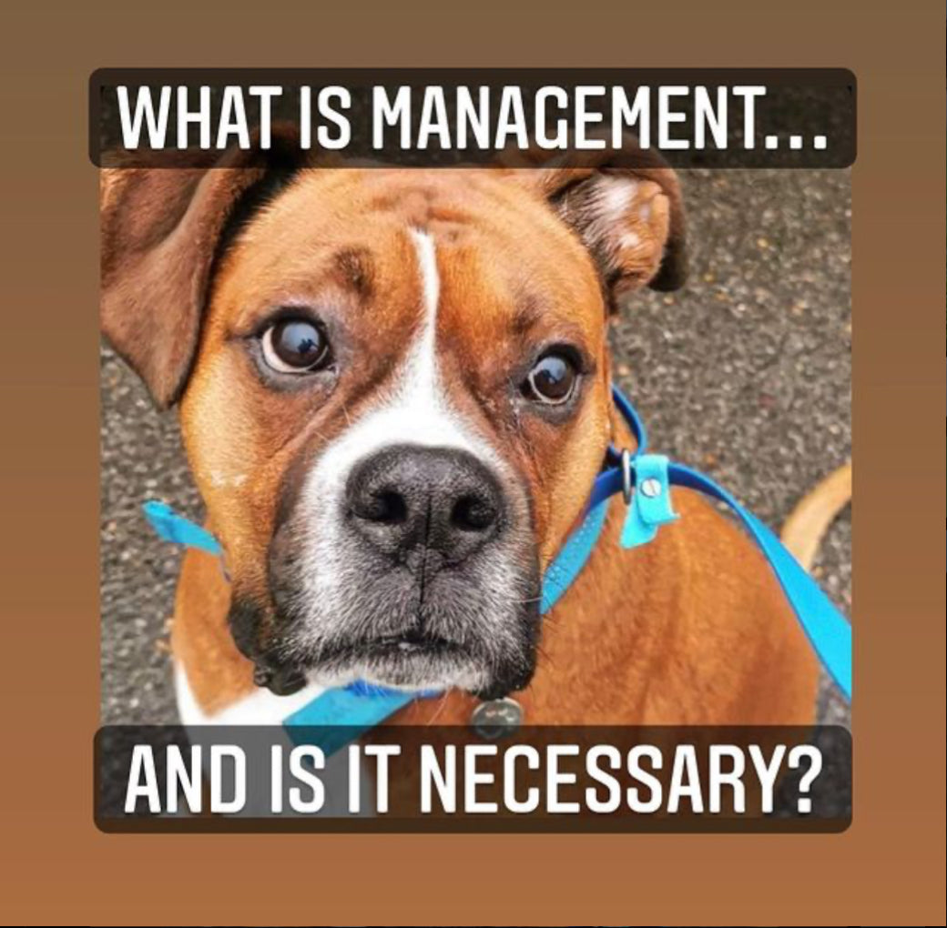 Management