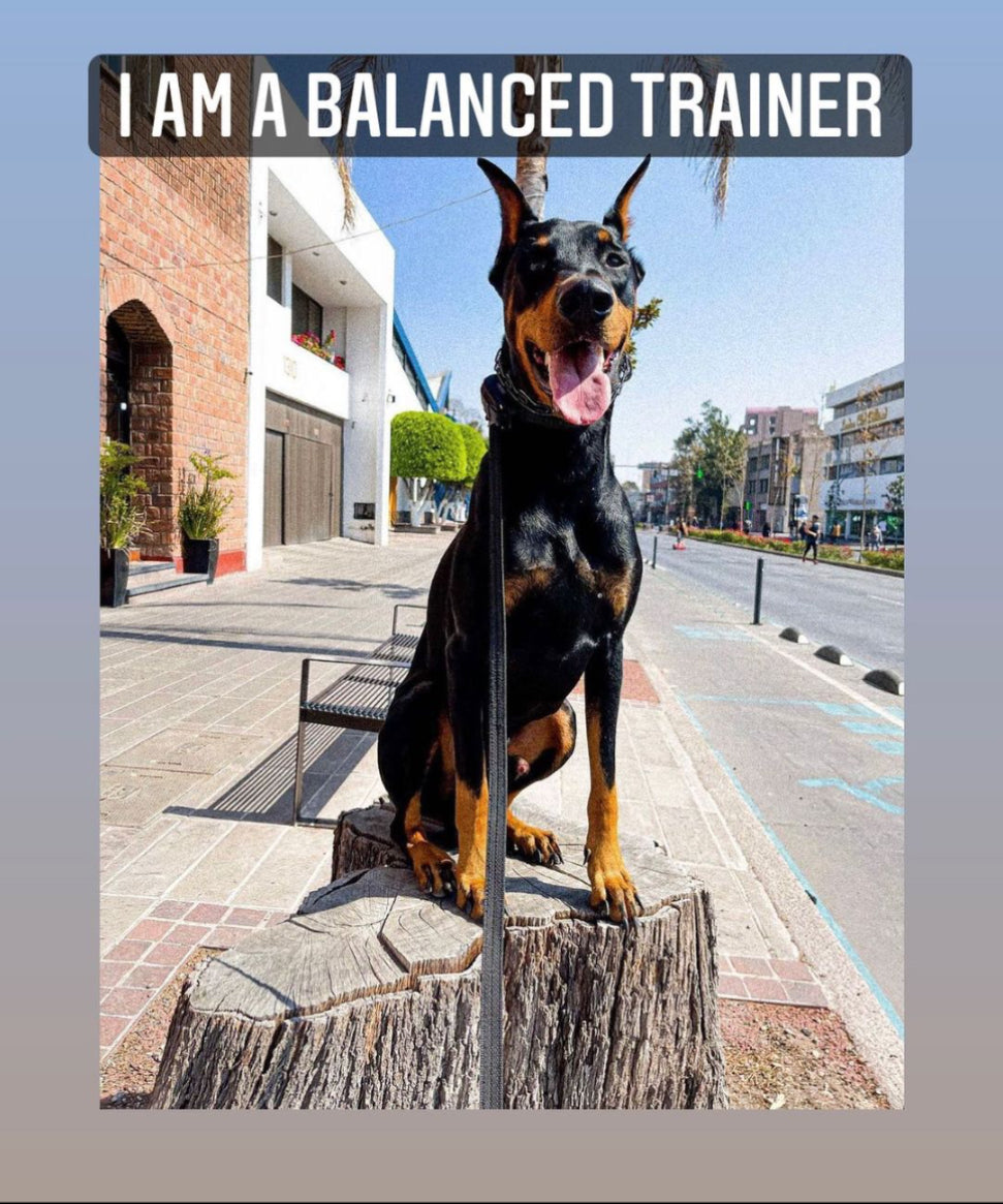 Balanced Training