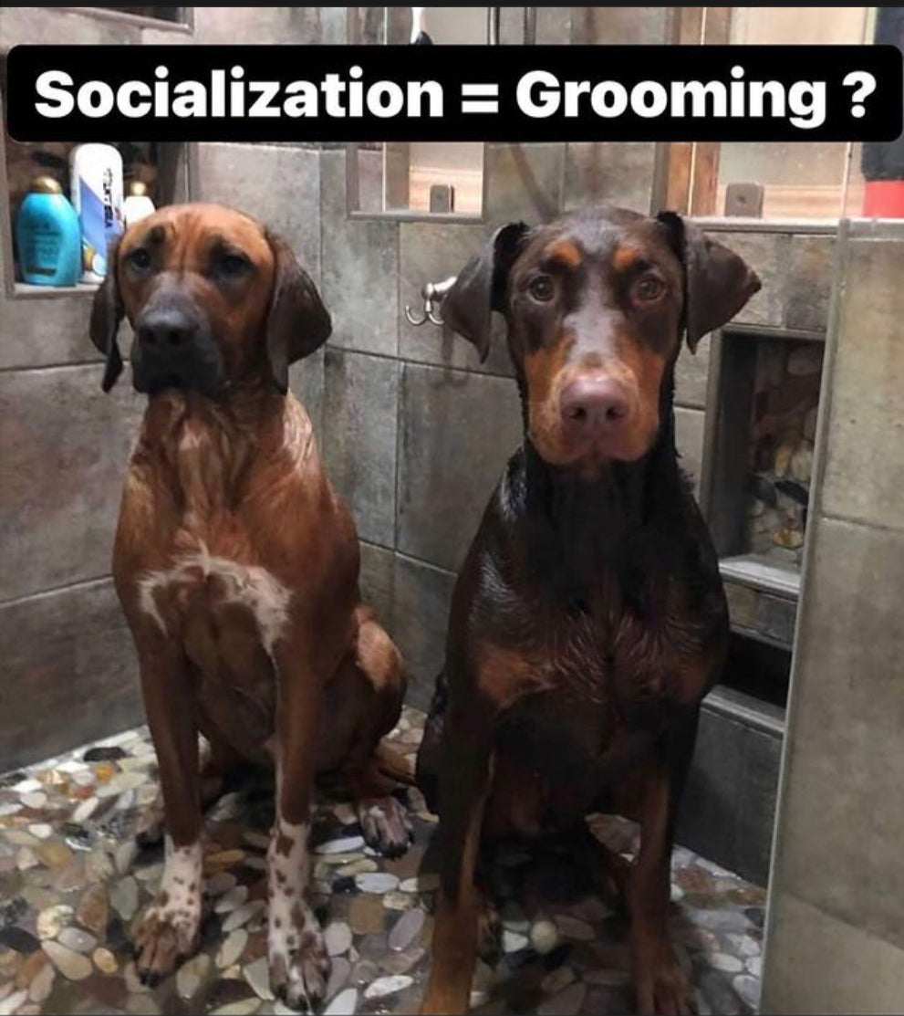 Grooming