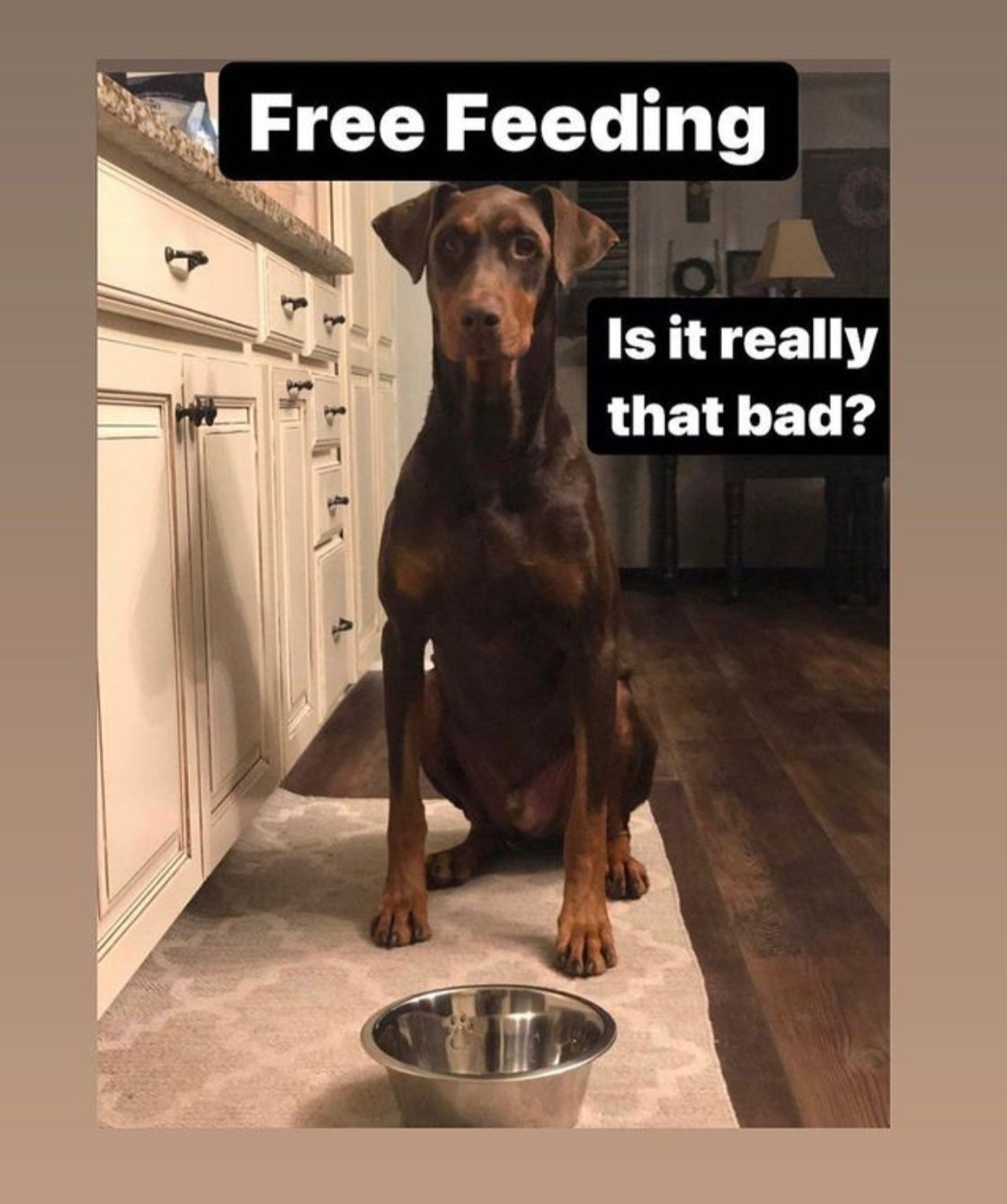 Free Feeding