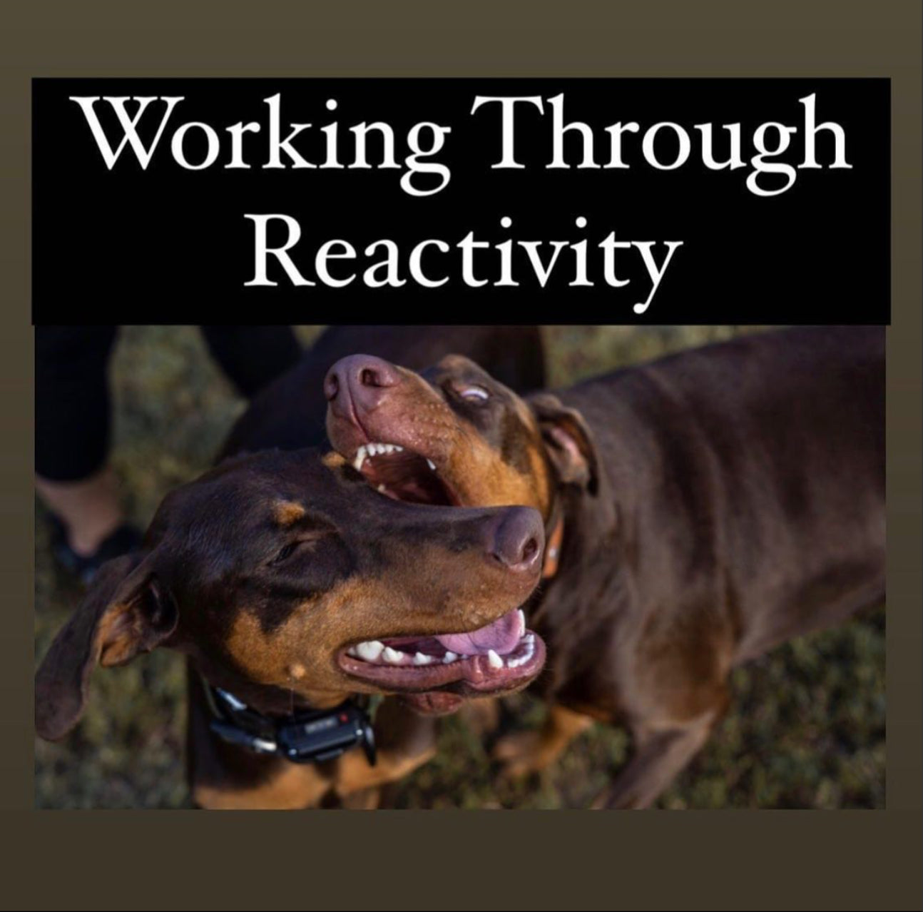 Reactivity