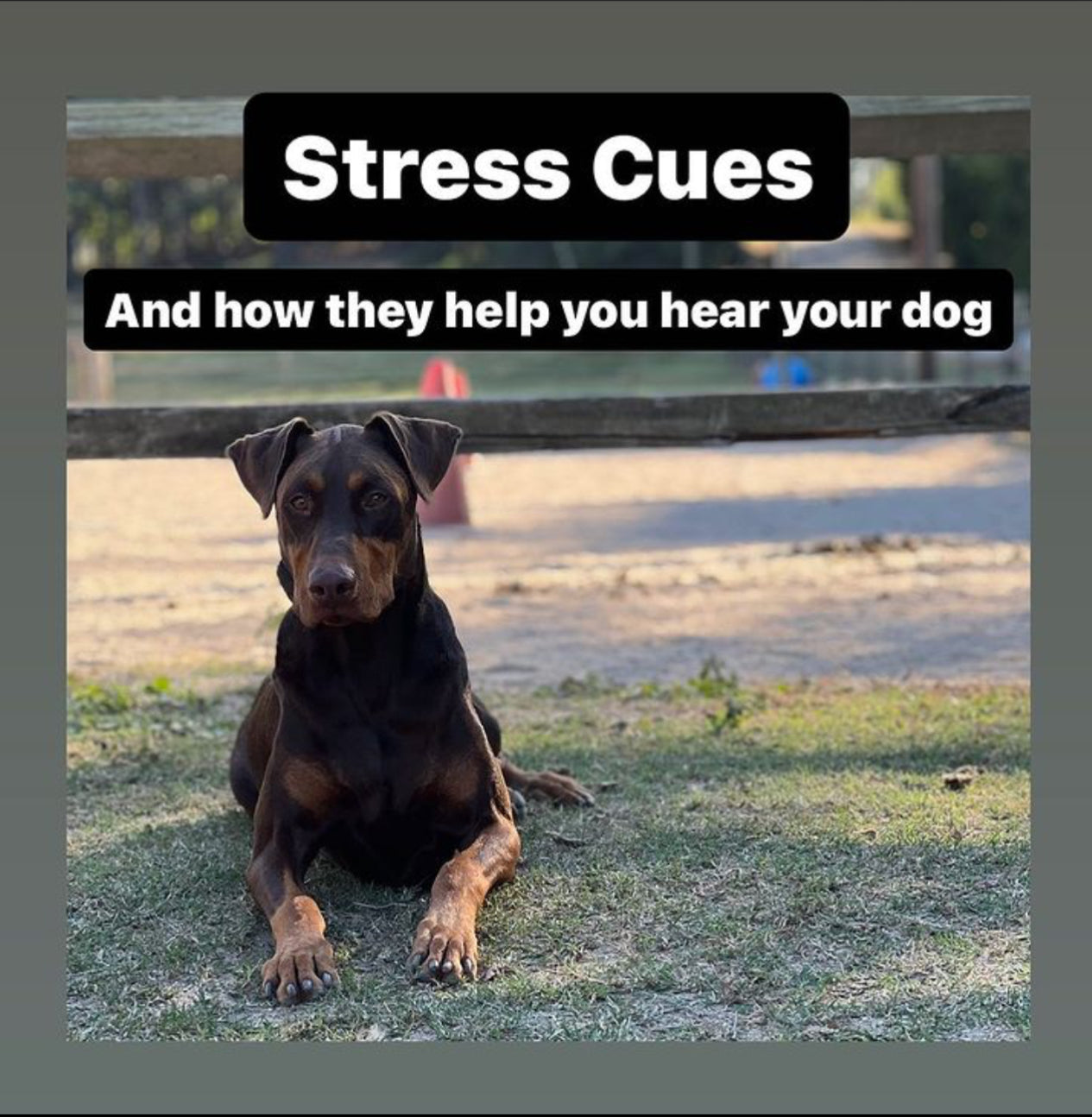 Stress Cues