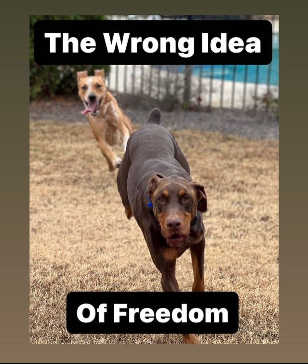 The Wrong idea of freedom