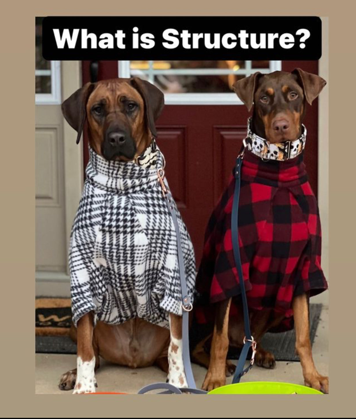 What Is Structure?