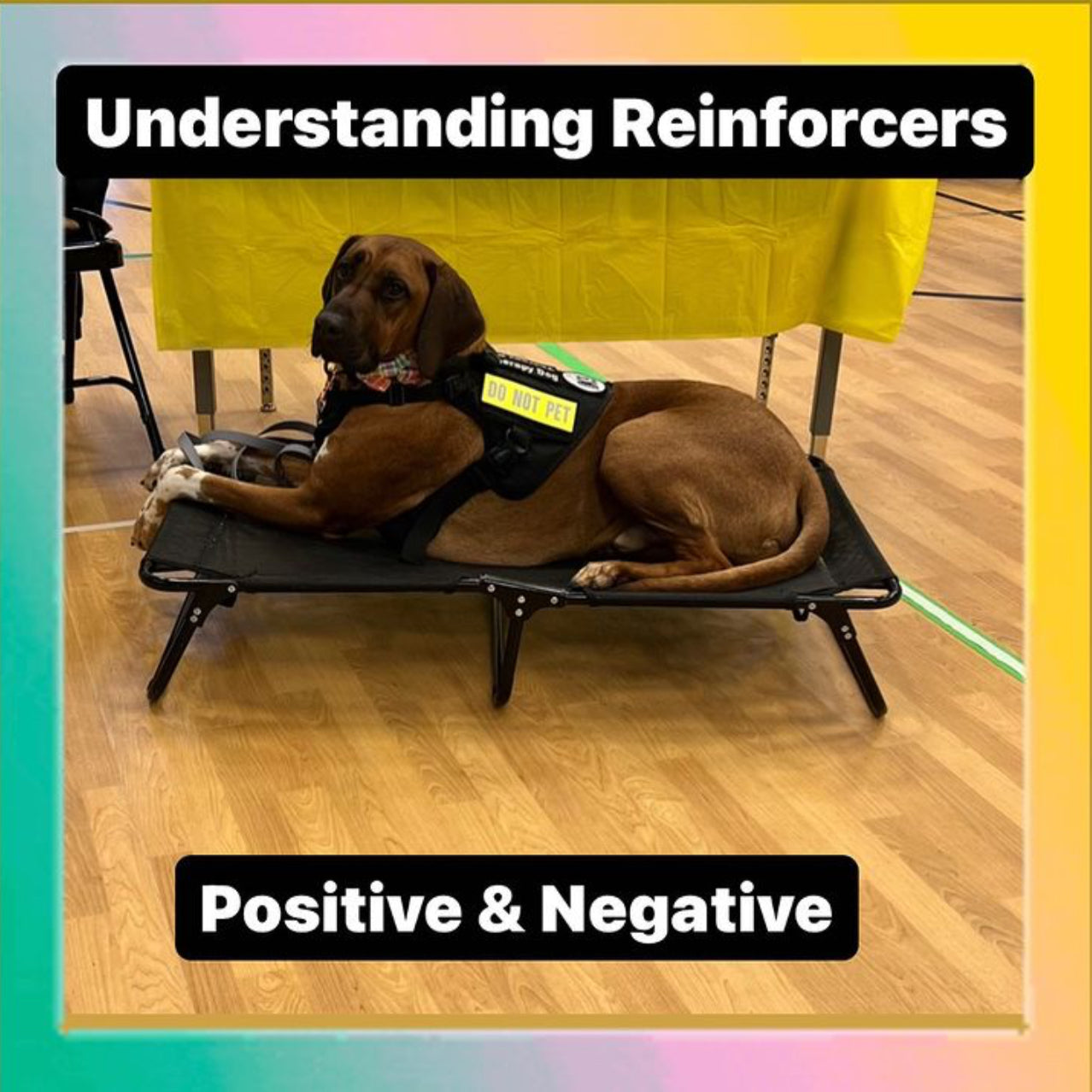 Understanding Reinforcers: positive and negative.