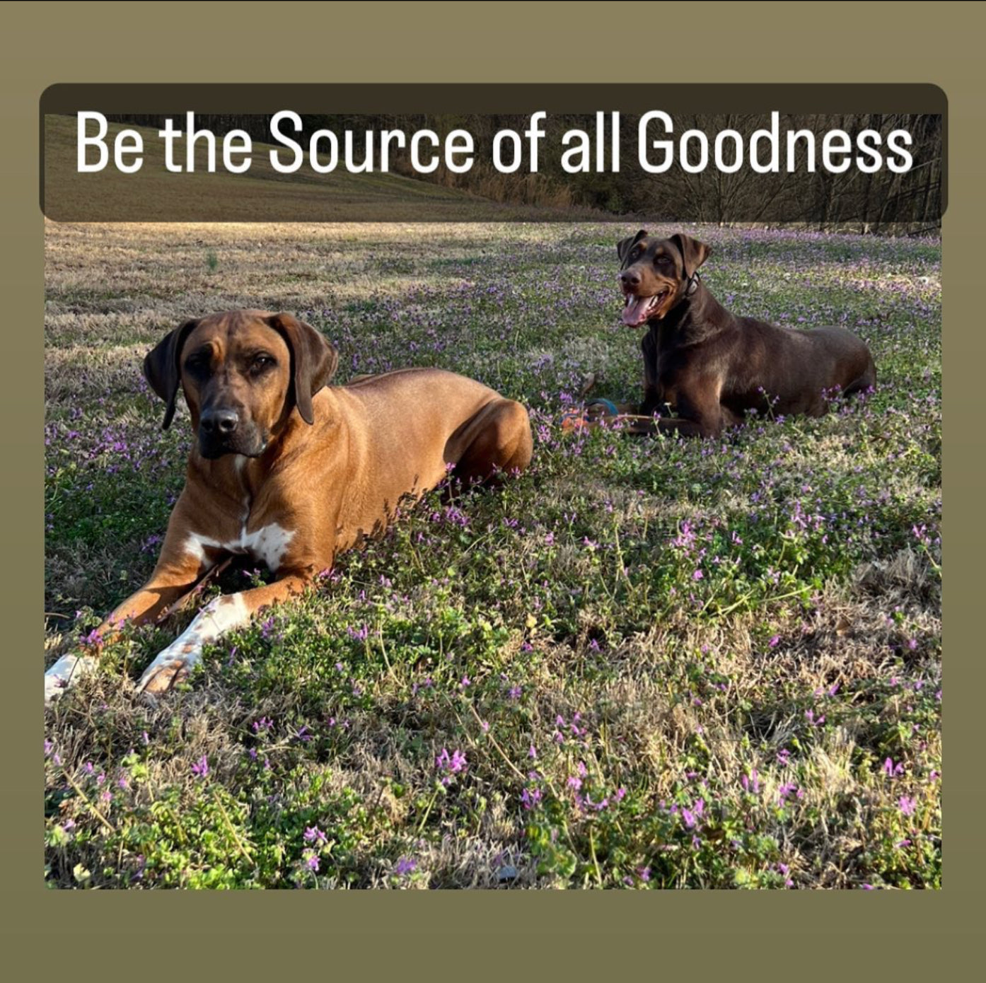 Be The Source Of All Goodness