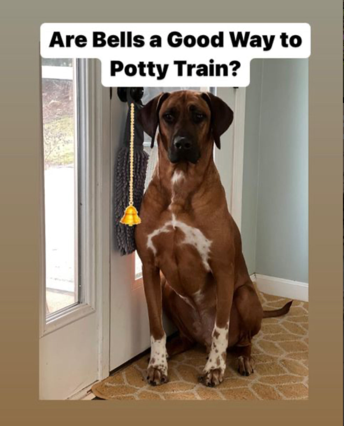 Are Bells A Good way To Potty Tain?