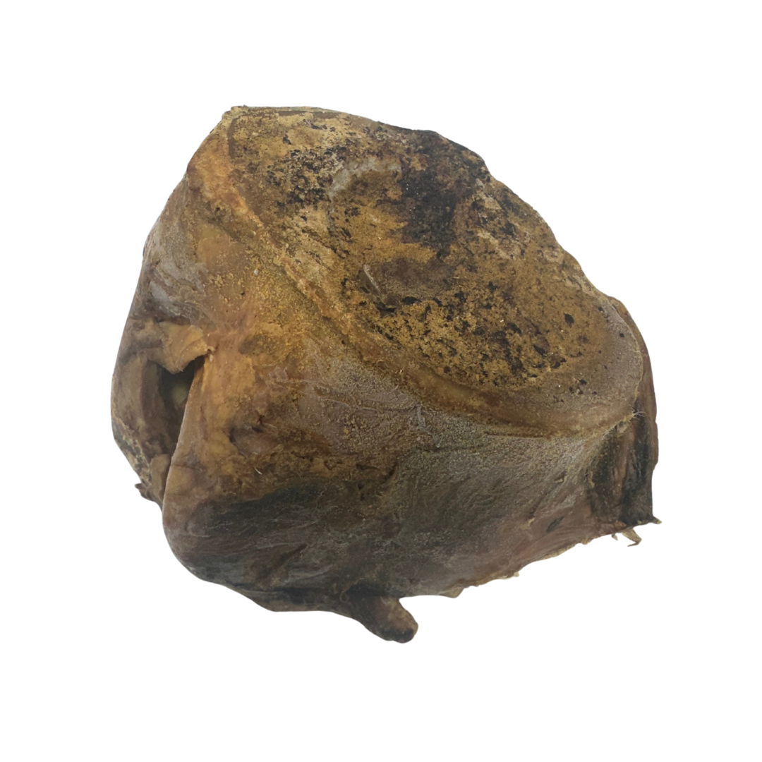 Large Femur Head with Marrow