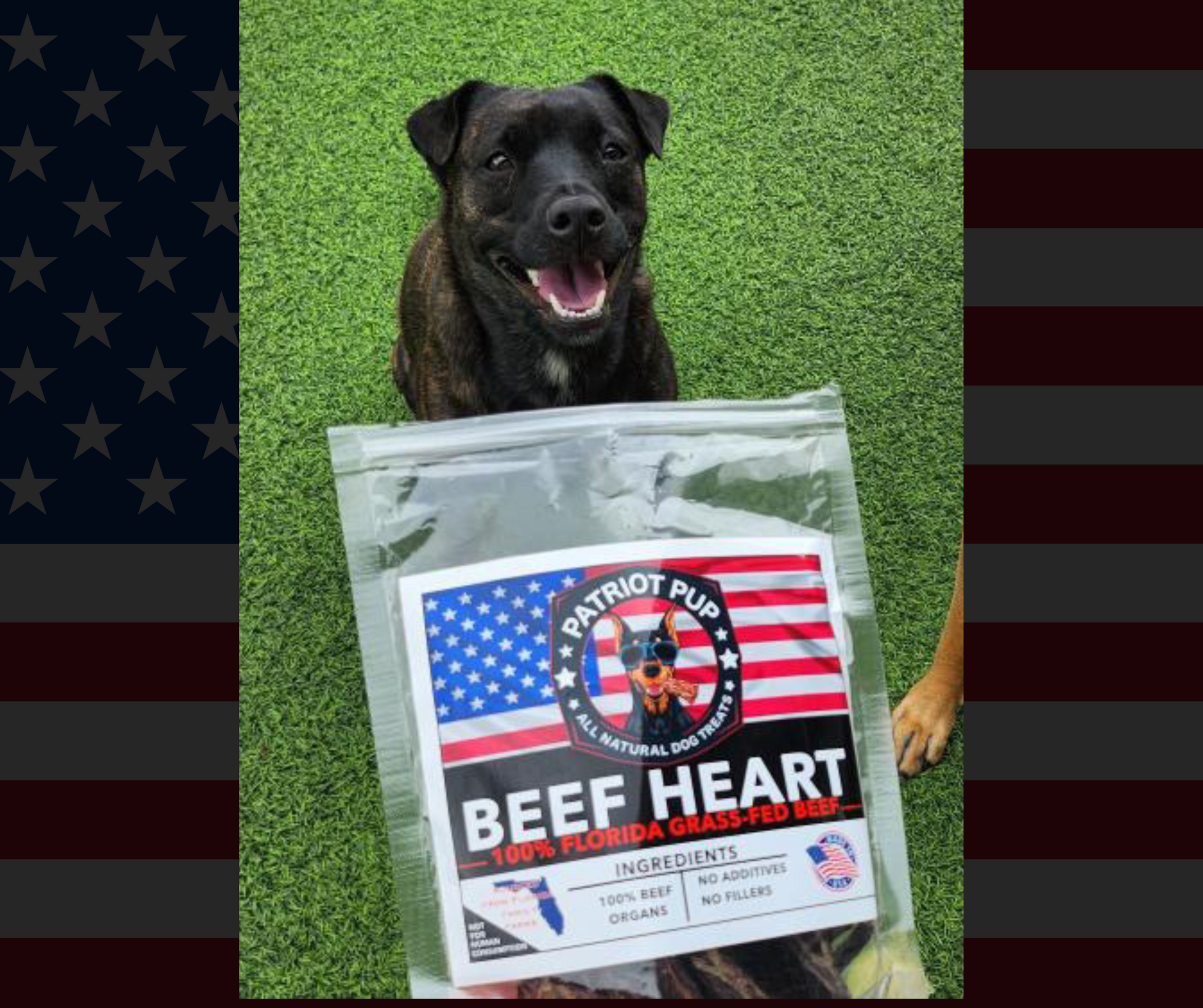 Beef Jerky Heart "Florida Grass Fed Beef" 6oz